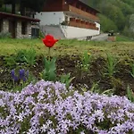 Zlatna Nit Pansion Bed & Breakfast