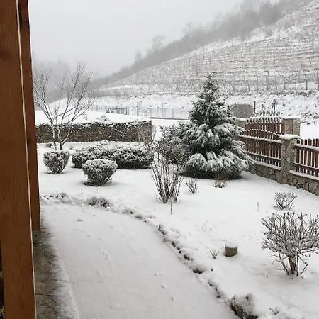 Nocleg ze śniadaniem Zlatna Nit 4*