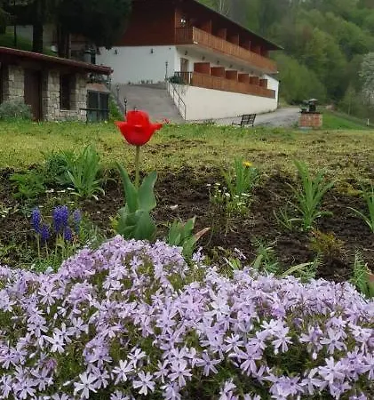 Zlatna Nit Pansion Bed & Breakfast