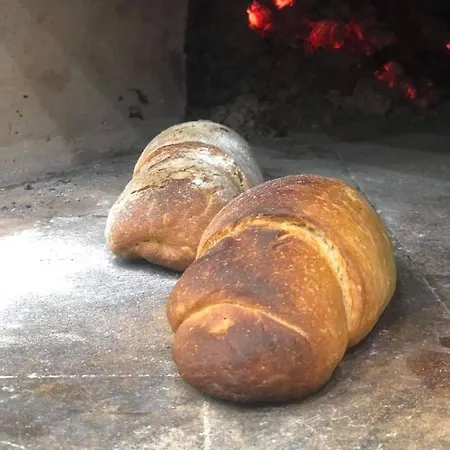 Zlatna Nit Nocleg ze śniadaniem