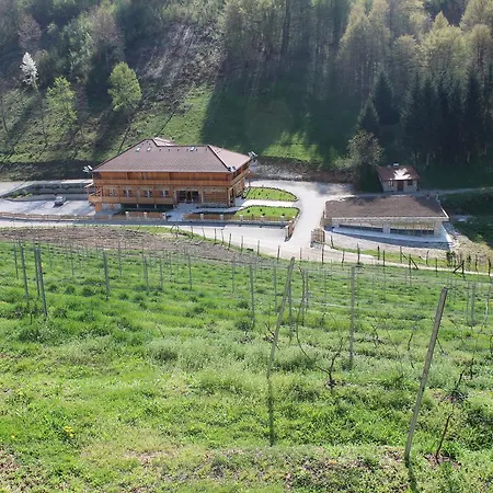 Bed & Breakfast Zlatna Nit Pansion