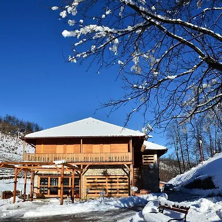 Nocleg ze śniadaniem Zlatna Nit