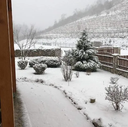 Bed & Breakfast Zlatna Nit Pansion 4*