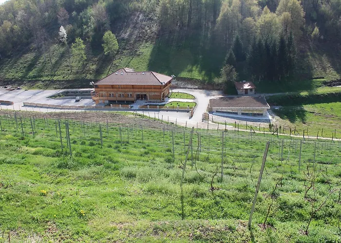 Bed & Breakfast Zlatna Nit Pansion