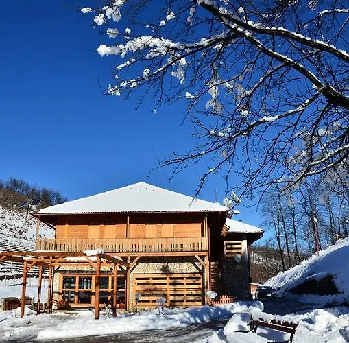 Bed & Breakfast Zlatna Nit Pansion