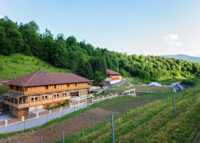 Zlatna Nit Pansion Bed & Breakfast 4*